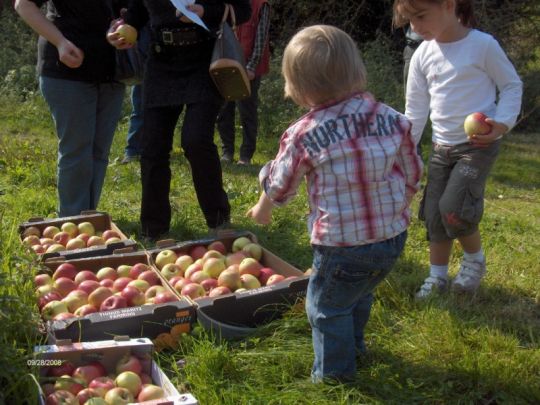 Herfstwandeling